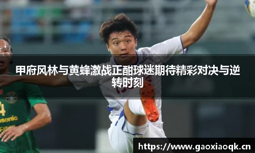 甲府风林与黄蜂激战正酣球迷期待精彩对决与逆转时刻