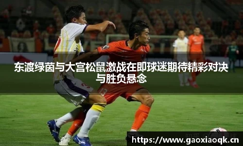 奇异果qyg网页版